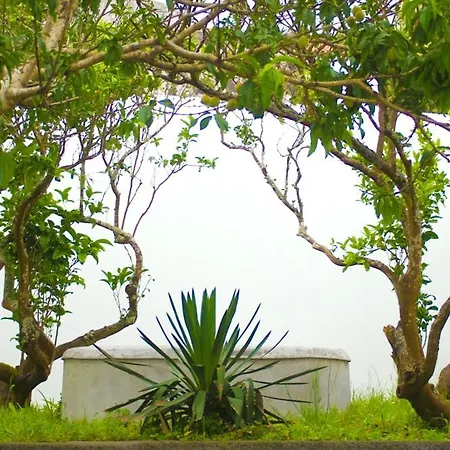 Casa Do Comendador