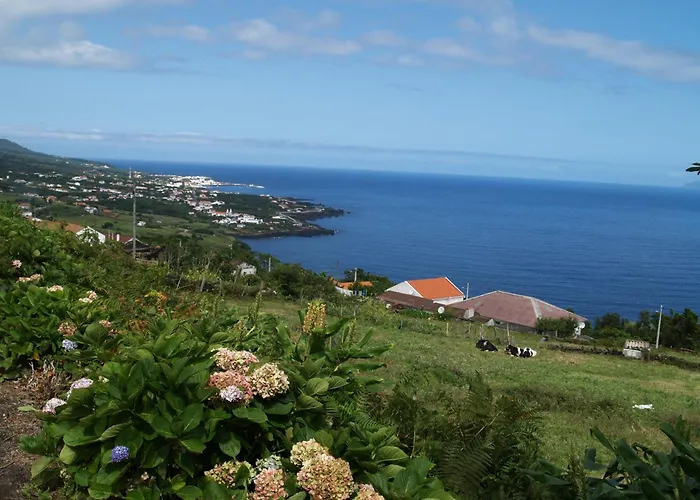 Casa Do Comendador ベッド・アンド・ブレックファスト 3*